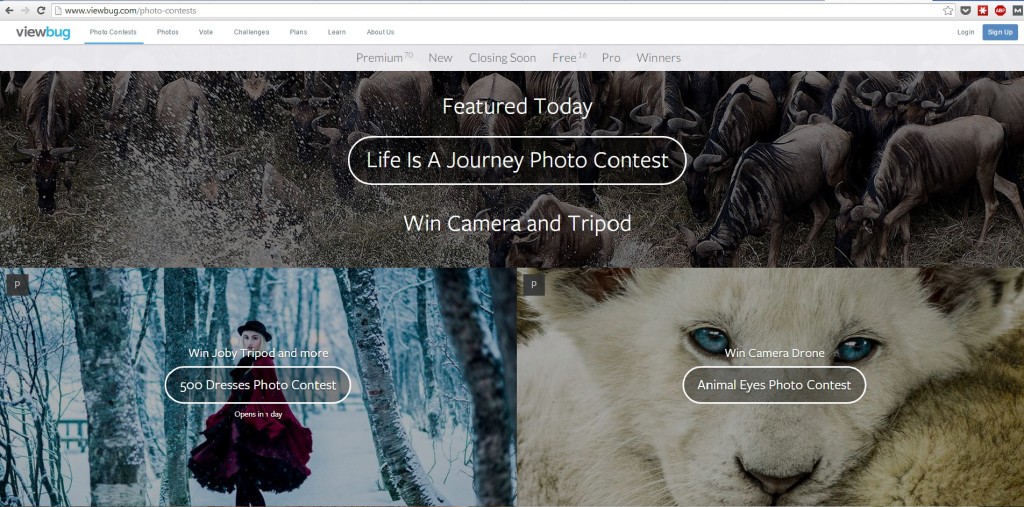 viewbug-photo-contest-website